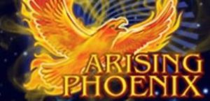 Arising Phoenix Amatic